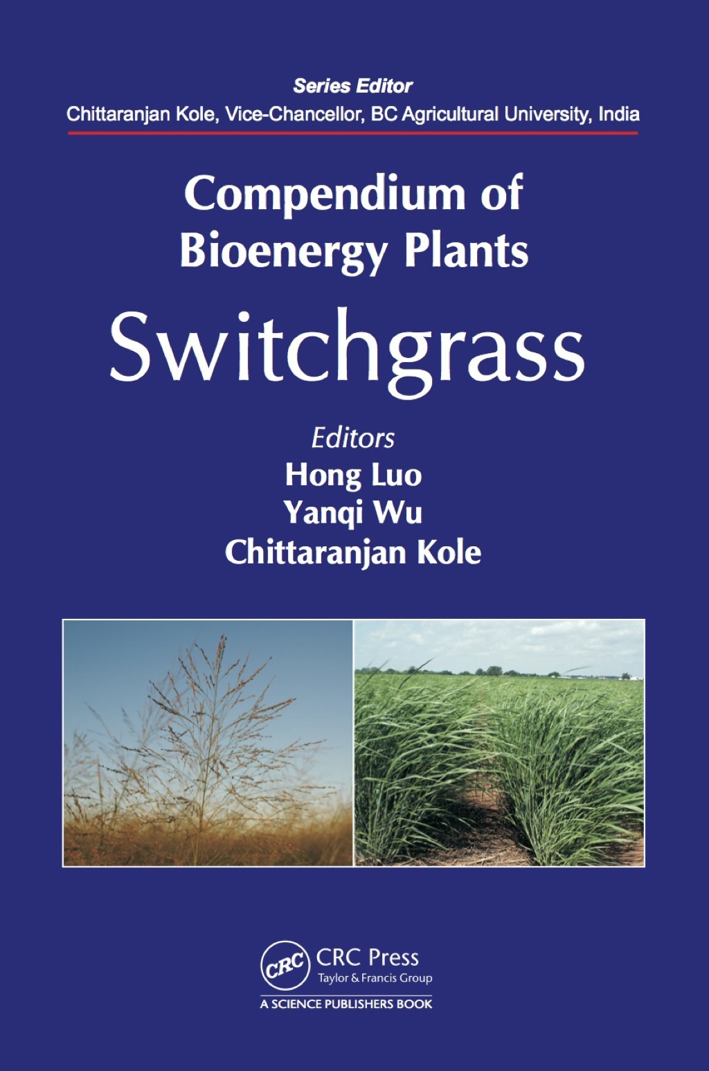 Compendium of Hydrogen Energy: Hydrogen Production and Purification â ...