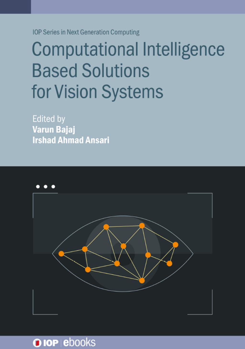 Computational Intelligence Based Solutions for Vision Systems â€“ PDF ...
