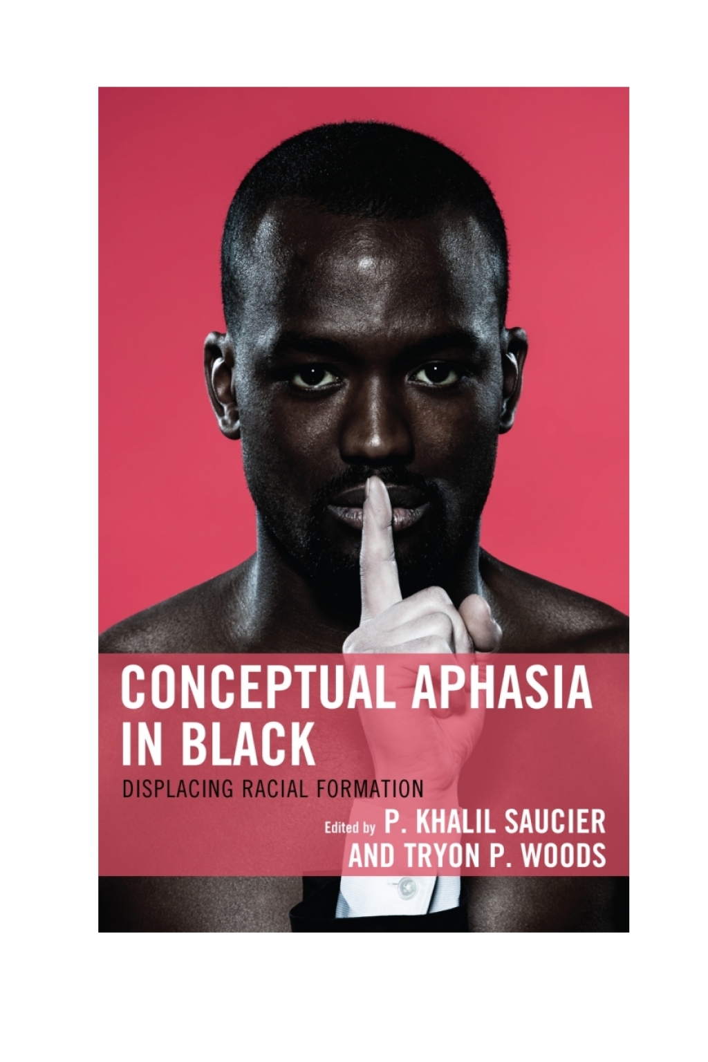 Conceptual Aphasia in Black Displacing Racial Formation 1st Edition â ...