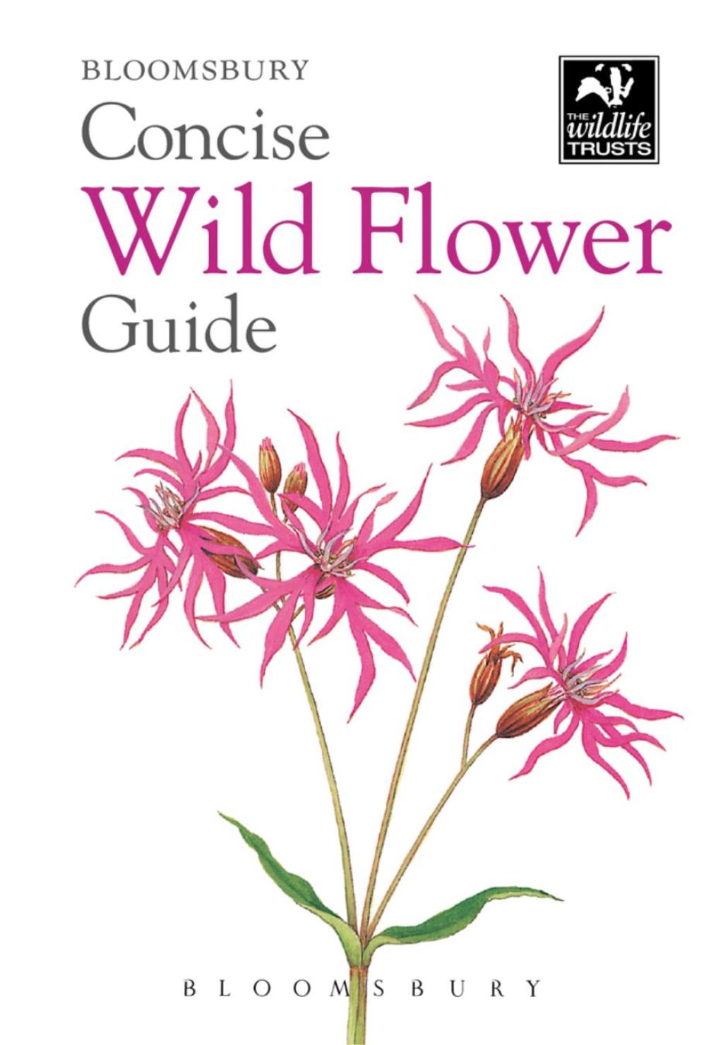 Concise Wild Flower Guide 1st Edition - (PDF/EPUB Version)