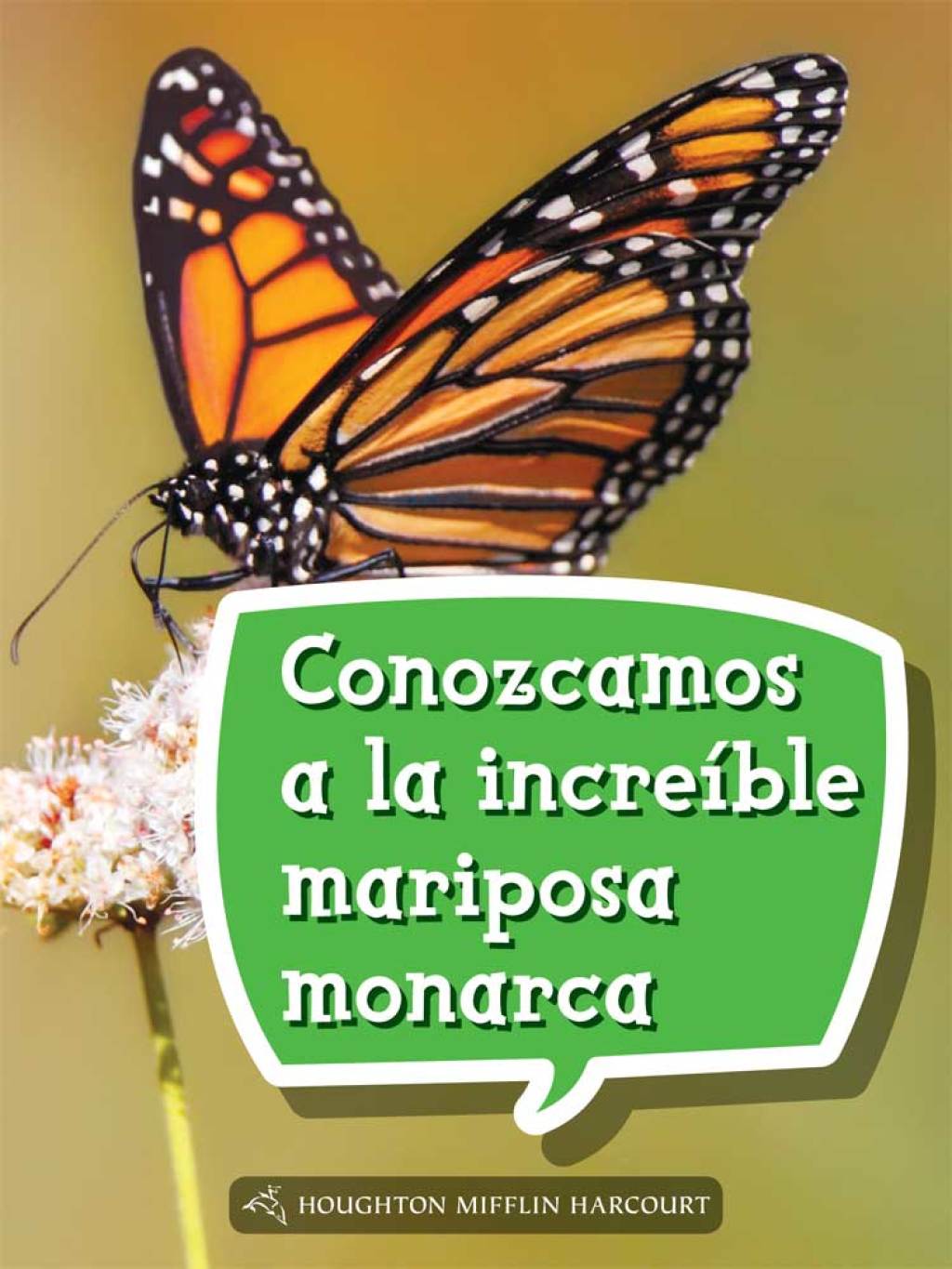 Conozcamos a la increÃ­ble mariposa monarca 1st Edition - (PDF/EPUB Version)