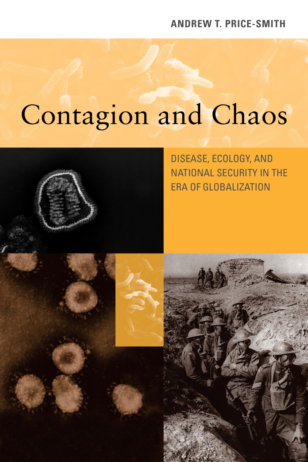 Contagion and Chaos Disease, Ecology, and National Security in the Era of Globalization - (PDF/EPUB Version)