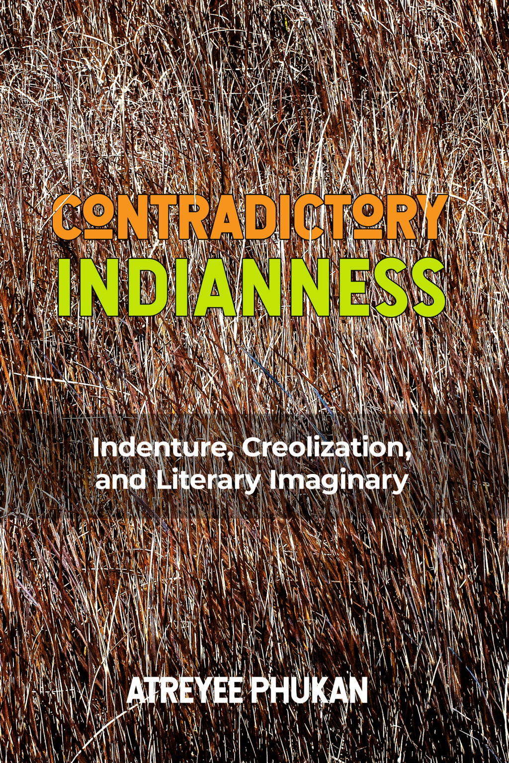 Contradictory Indianness Indenture, Creolization, and Literary Imaginary - (PDF/EPUB Version)