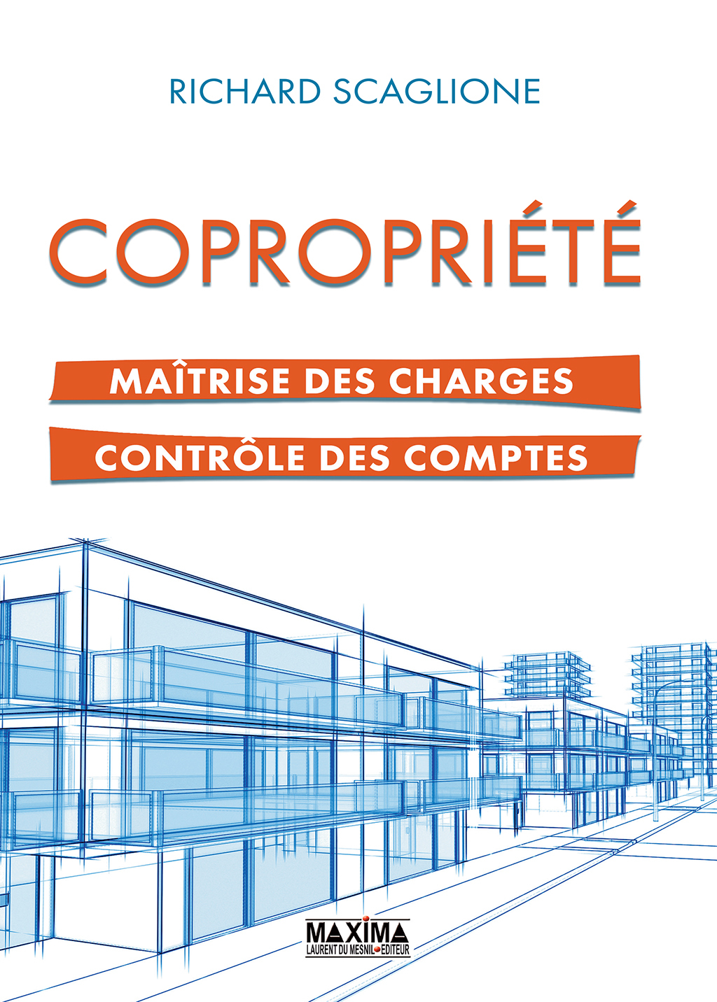 CopropriÃ©tÃ© maÃ®trise des charges et contrÃ´le des comptes - (PDF/EPUB Version)