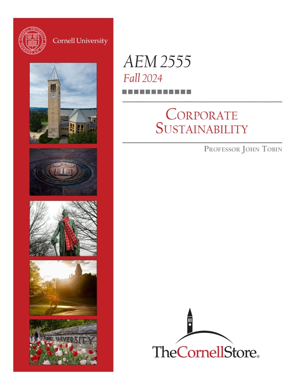 Corporate Sustainability 1st Edition - (PDF/EPUB Version)