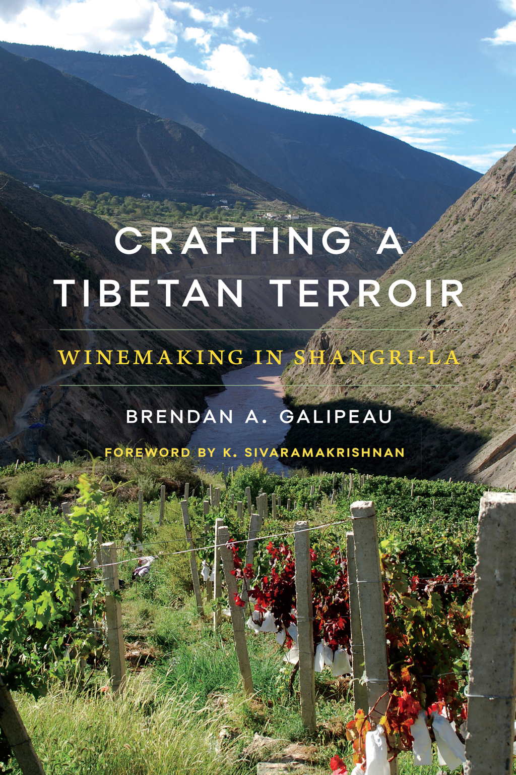 Crafting a Tibetan Terroir Winemaking in Shangri-La - (PDF/EPUB Version)