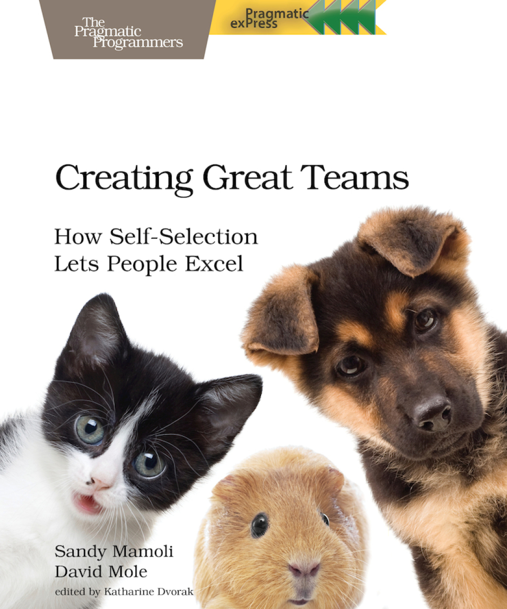 Creating Great Teams How Self-Selection Lets People Excel 1st Edition - (PDF/EPUB Version)