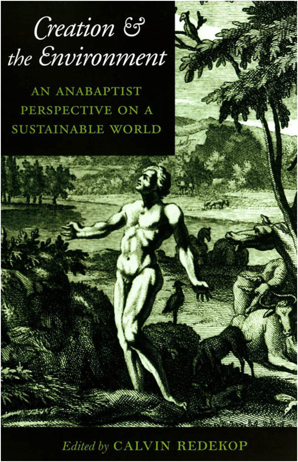 Creation and the Environment An Anabaptist Perspective on a Sustainable World - (PDF/EPUB Version)