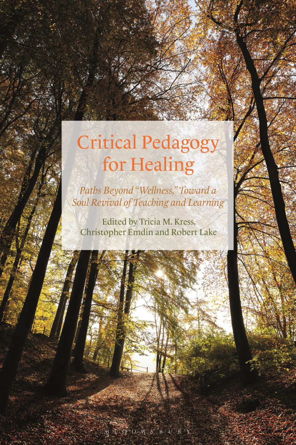 Critical Pedagogy for Healing Paths Beyond "Wellness," Toward a Soul Revival of Teaching and Learning 1st Edition - (PDF/EPUB Version)