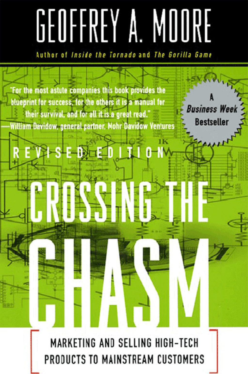 Crossing the Chasm Marketing and Selling Technology Project - (PDF/EPUB Version)