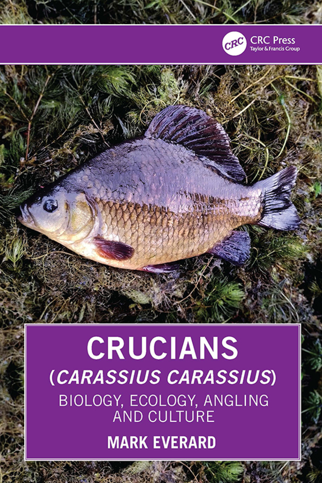 Crucians (Carassius carassius) Biology, Ecology, Angling and Culture 1st Edition - (PDF/EPUB Version)