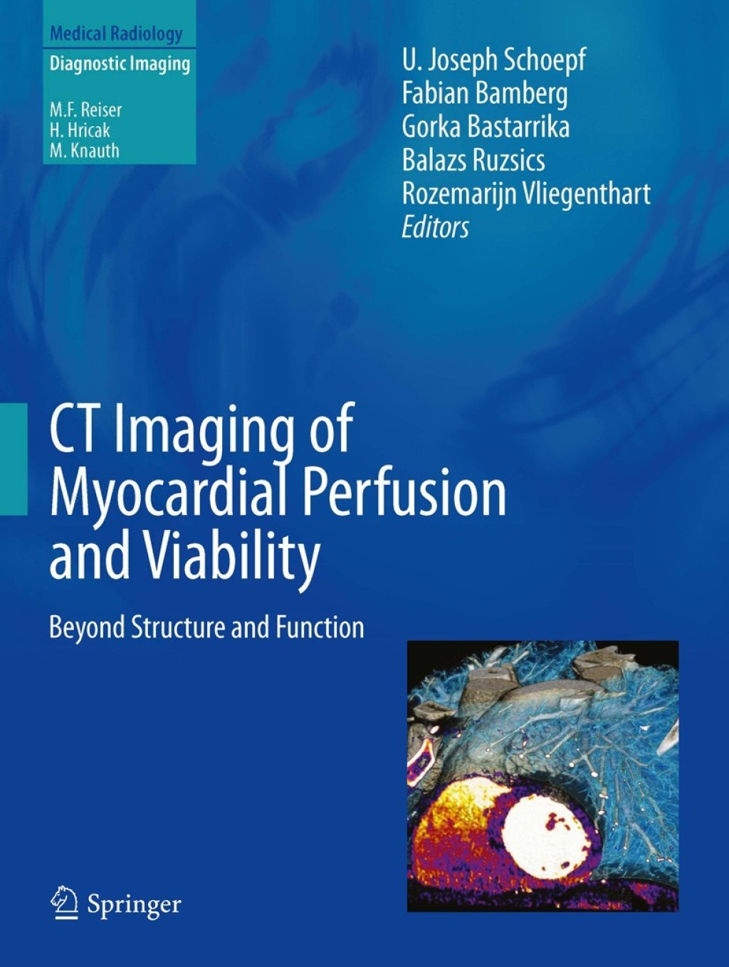 CT Imaging of Myocardial Perfusion and Viability Beyond Structure and ...