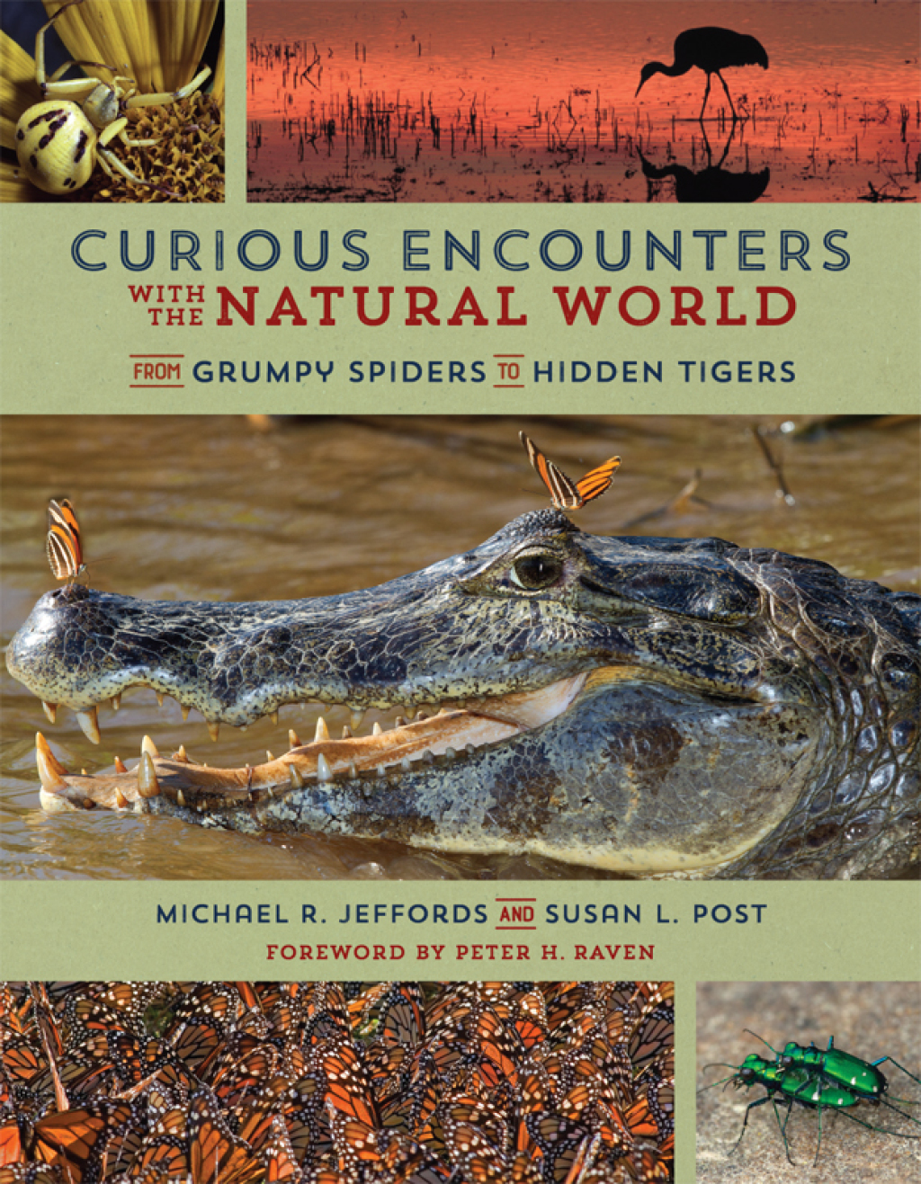 Curious Encounters with the Natural World From Grumpy Spiders to Hidden Tigers - (PDF/EPUB Version)
