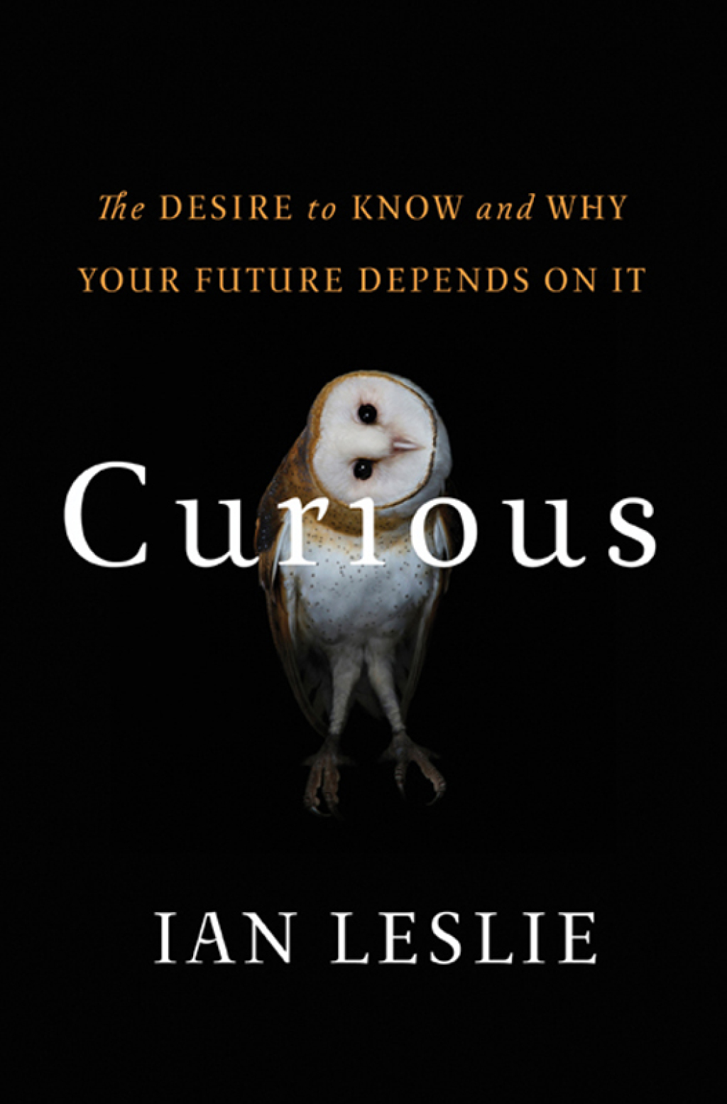 Curious The Desire to Know and Why Your Future Depends On It - (PDF/EPUB Version)