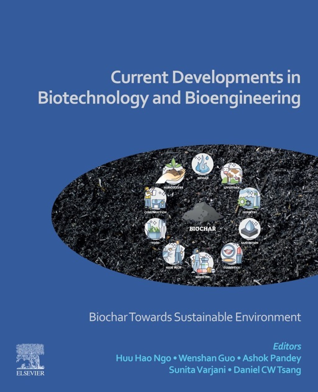 Current Developments in Biotechnology and Bioengineering Biochar ...