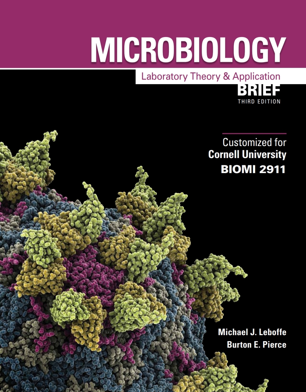 Custom: Ebook: Cornell Univ MLTAb3 3rd Edition - (PDF/EPUB Version)