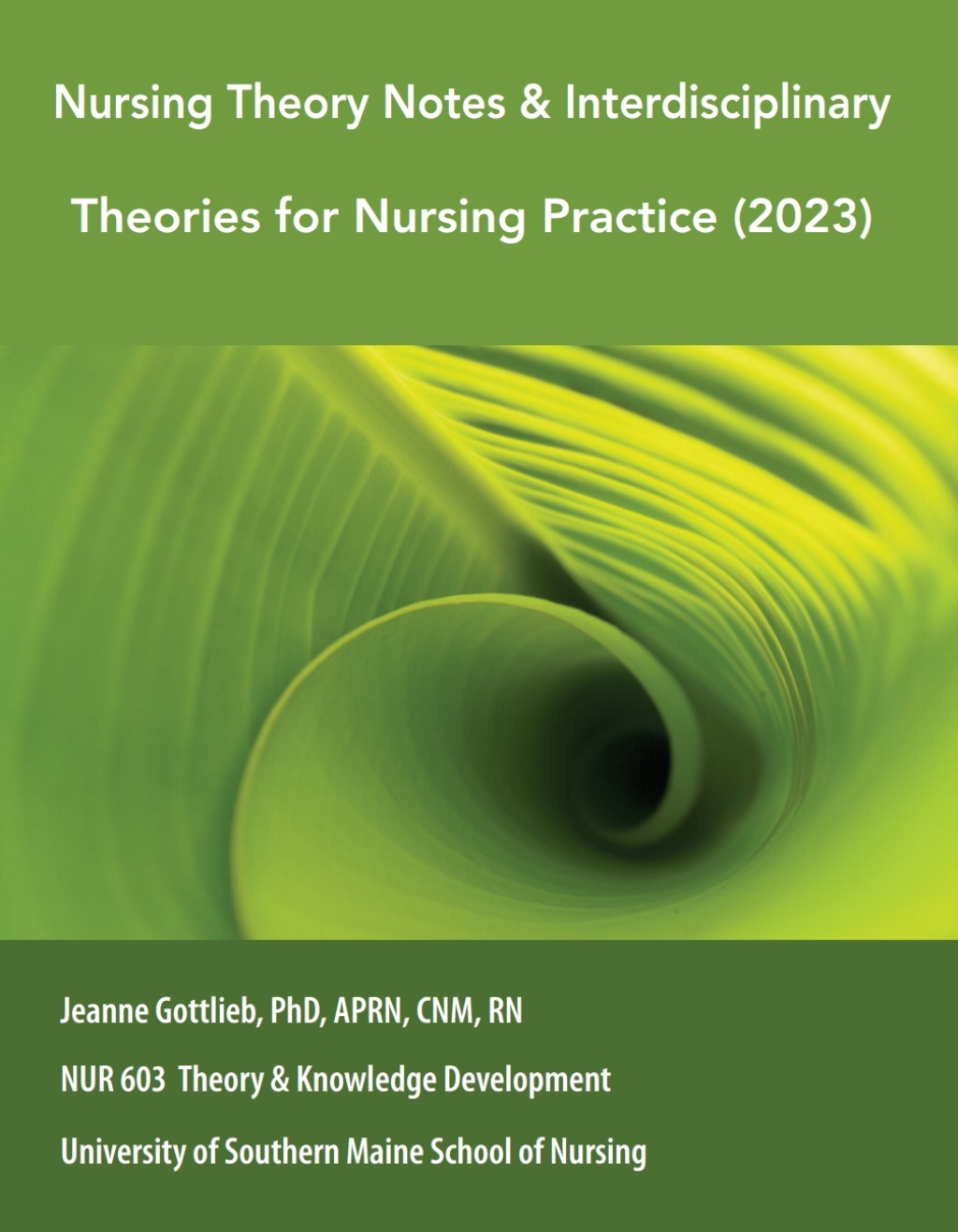 Custom eBook for University of Southern Maine School of Nursing: Nursing Theory Notes & Interdisciplinary Theories for Nursing Practice (2023), NUR 603 Theory & Knowledge Development 1st Edition - (PDF/EPUB Version)
