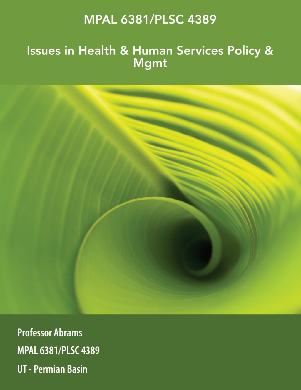 Custom eBook for UT - Permian Basin: Issues in Health & Human Services Policy & Mgmt, MPAL 6381/PLSC 4389 1st Edition - (PDF/EPUB Version)