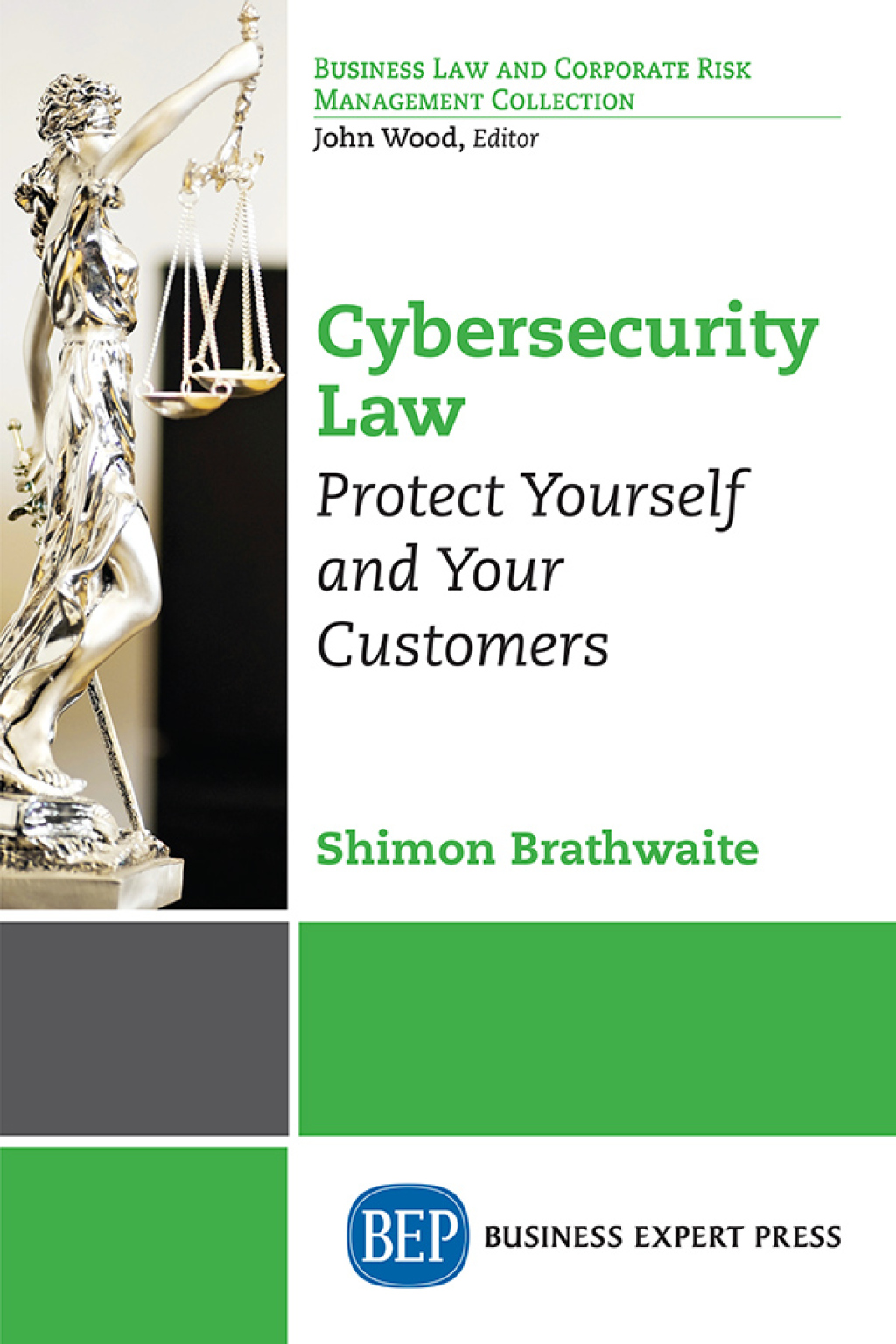 Cybersecurity Law Protect Yourself and Your Customers - (PDF/EPUB Version)
