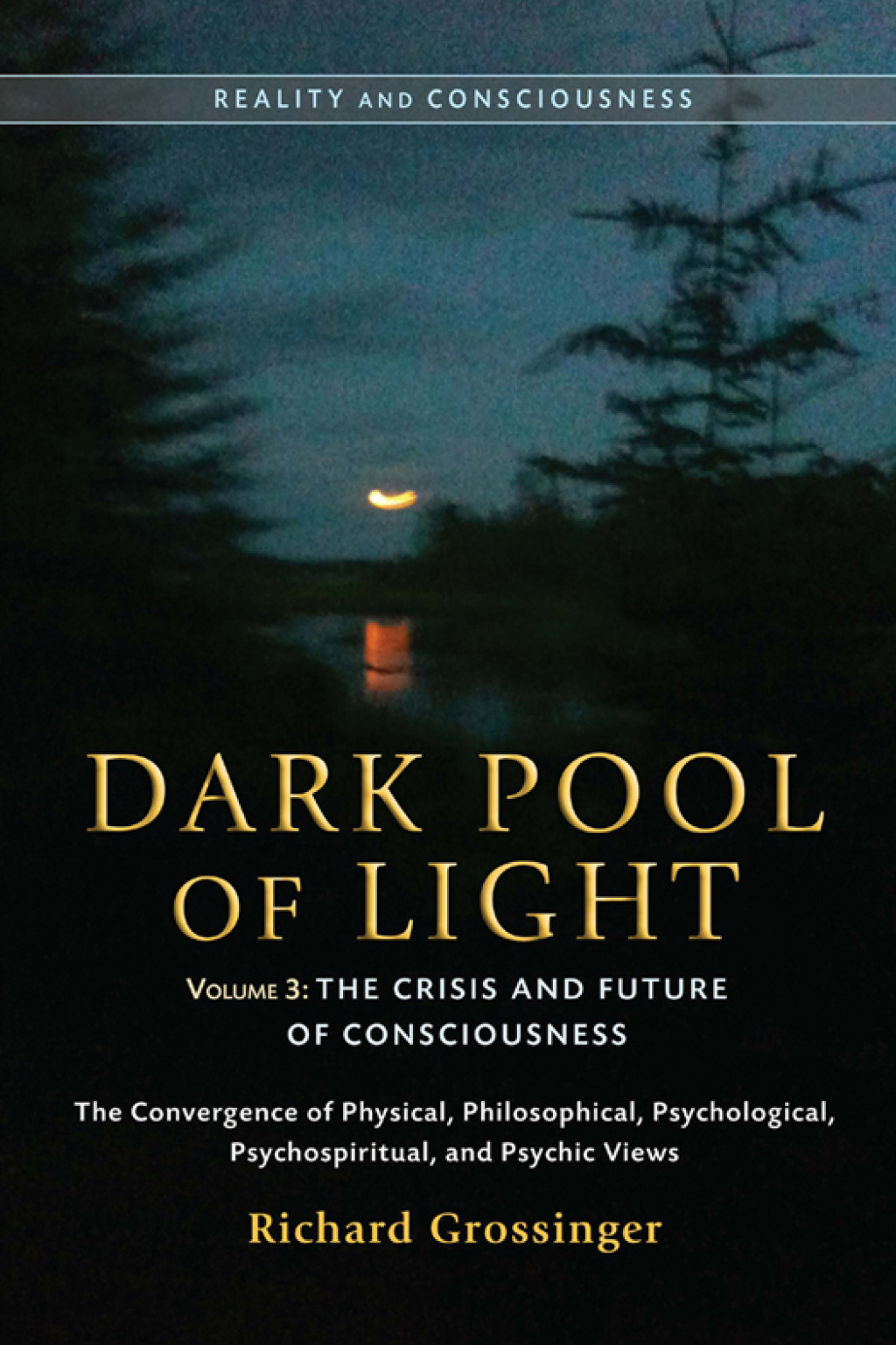Dark Pool of Light, Volume Three The Crisis and Future of Consciousness - (PDF/EPUB Version)