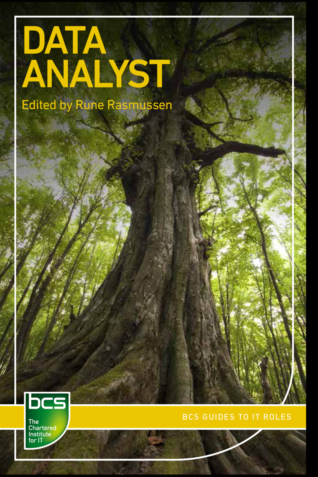 Data Analyst Careers in data analysis 1st Edition - (PDF/EPUB Version)