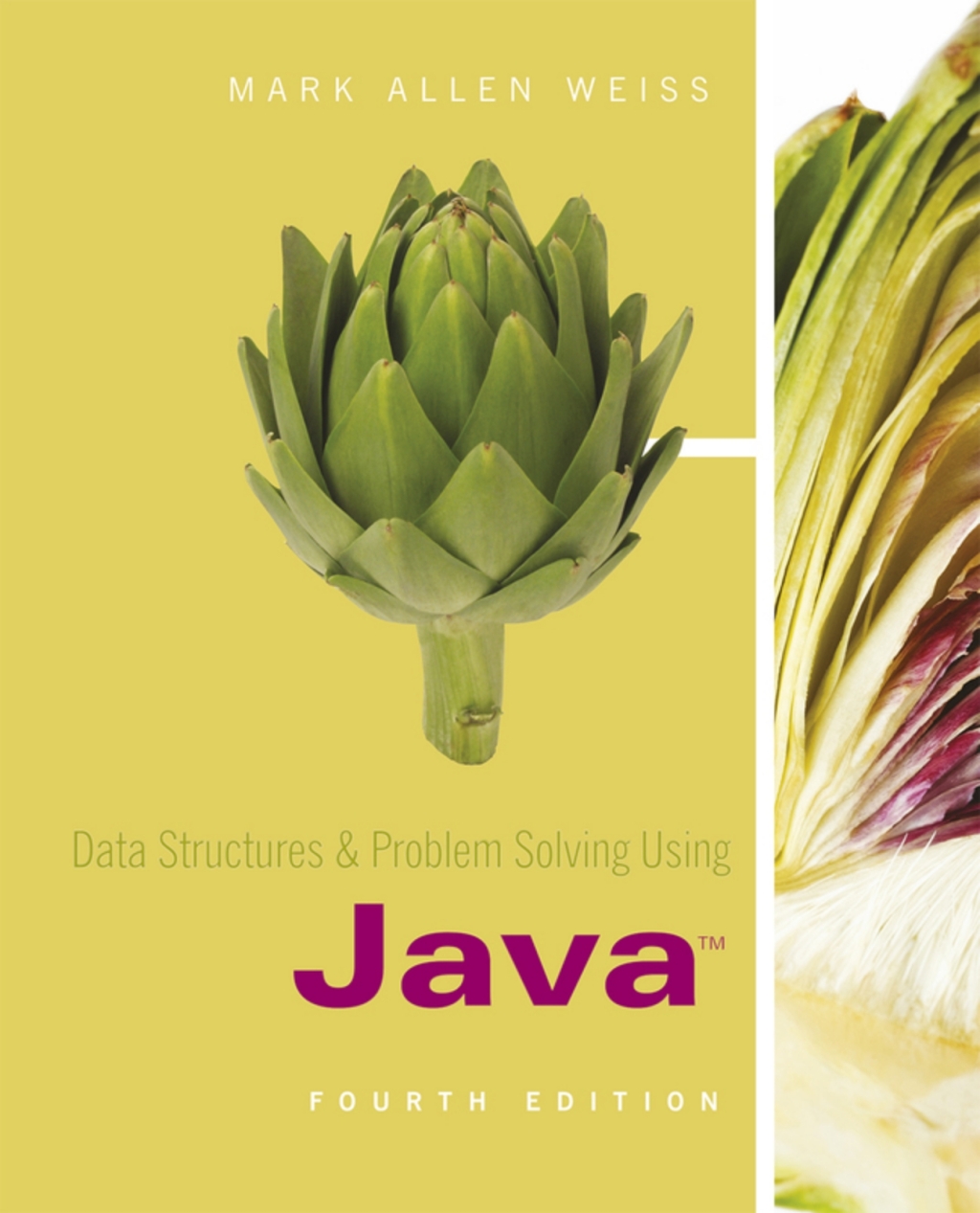 Data Structures and Problem Solving Using Java (Pearson+) 4th Edition â€“ PDF/EPUB Version Downloadable