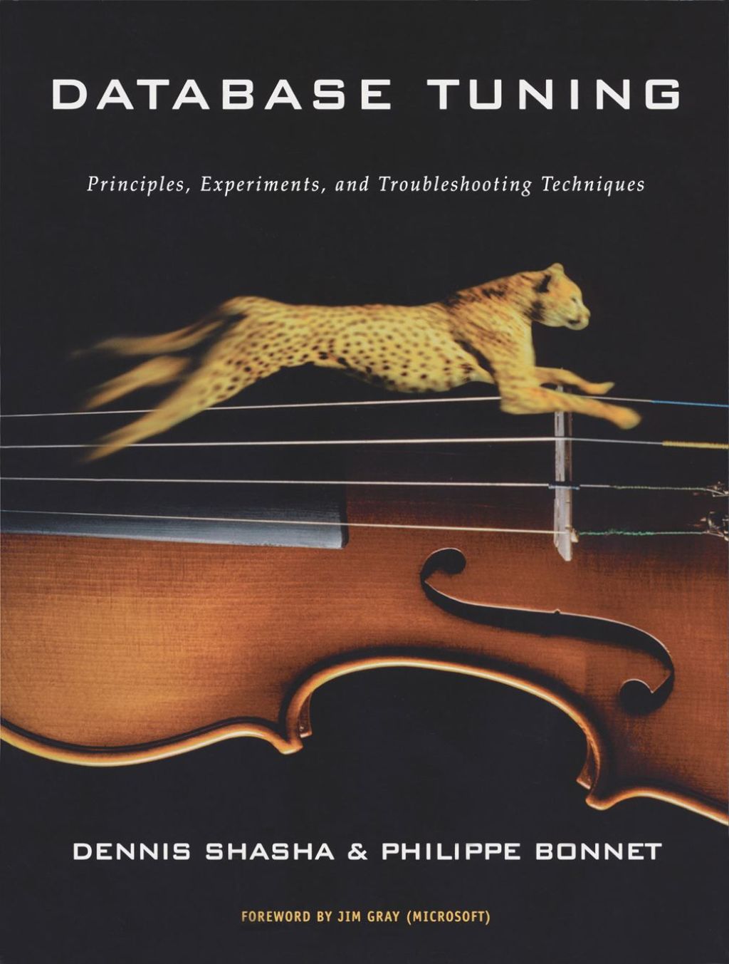 Database Tuning: Principles, Experiments, and Troubleshooting ...