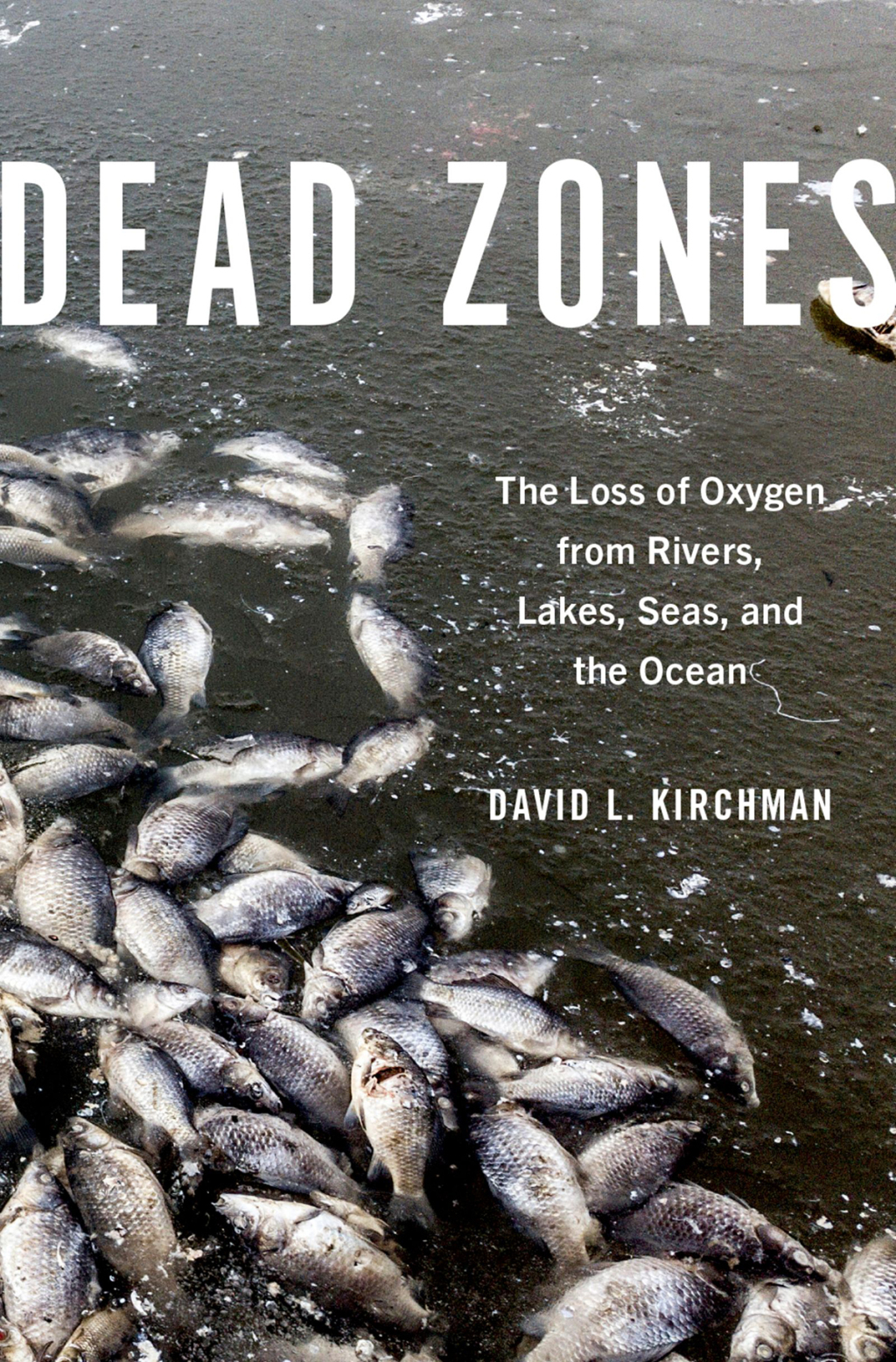 Dead Zones The Loss of Oxygen from Rivers, Lakes, Seas, and the Ocean - (PDF/EPUB Version)