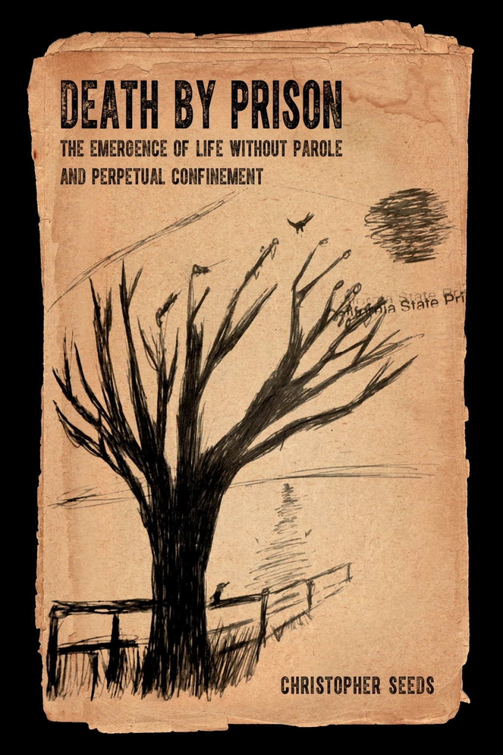 Death by Prison The Emergence of Life without Parole and Perpetual Confinement 1st Edition - (PDF/EPUB Version)