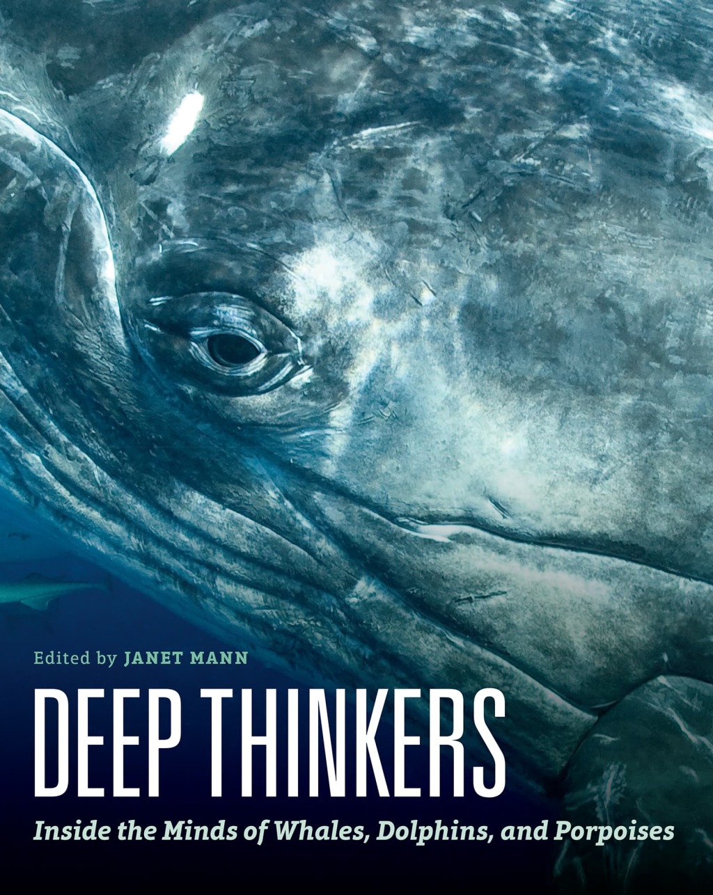 Deep Thinkers Inside the Minds of Whales, Dolphins, and Porpoises 1st Edition - (PDF/EPUB Version)