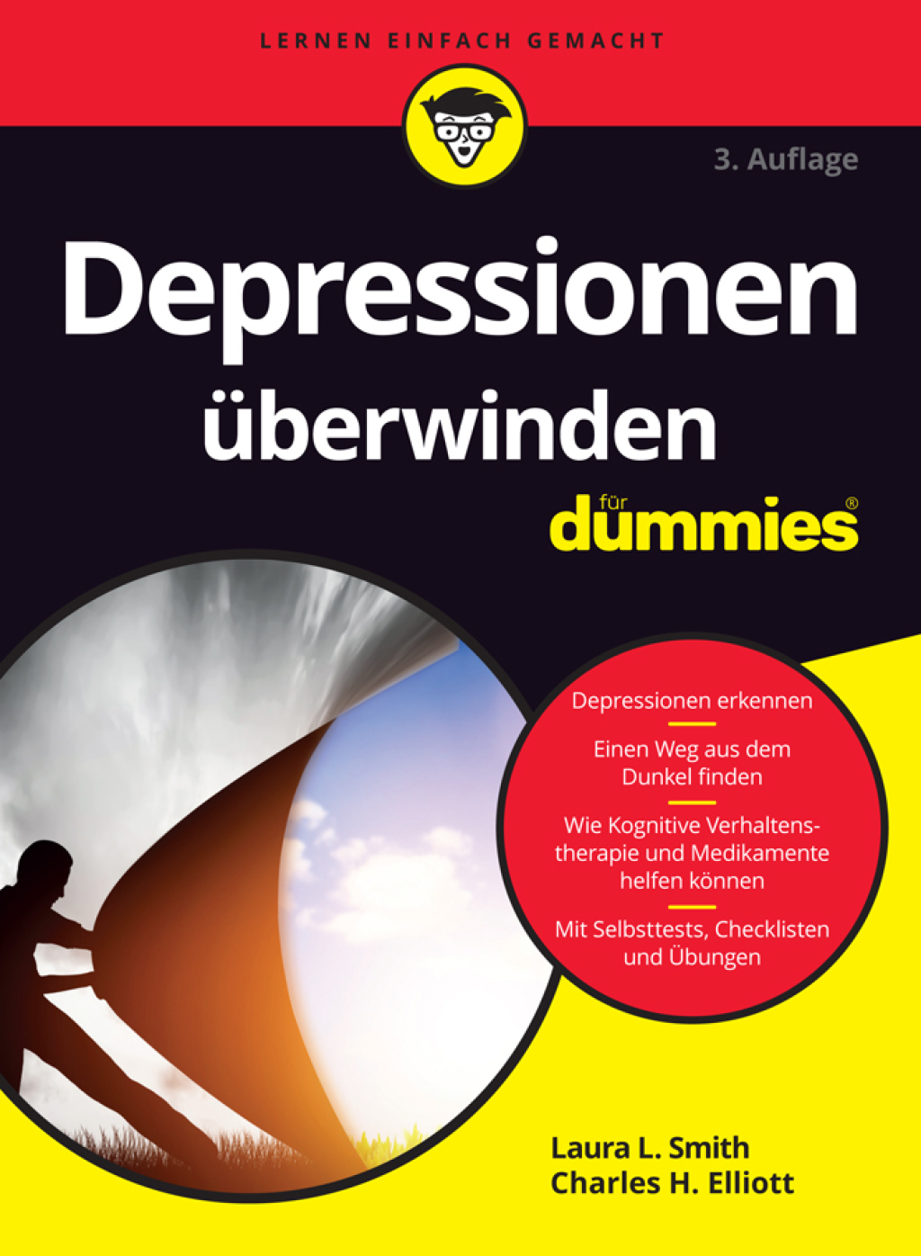 Depressionen Ã¼berwinden fÃ¼r Dummies 3rd Edition - (PDF/EPUB Version)