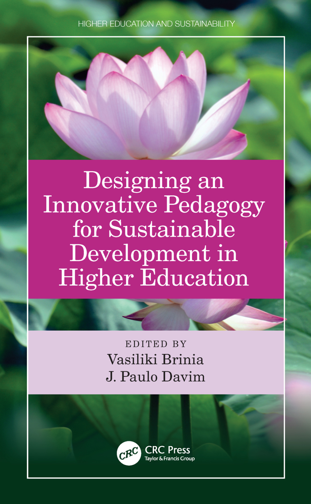 Designing an Innovative Pedagogy for Sustainable Development in Higher ...
