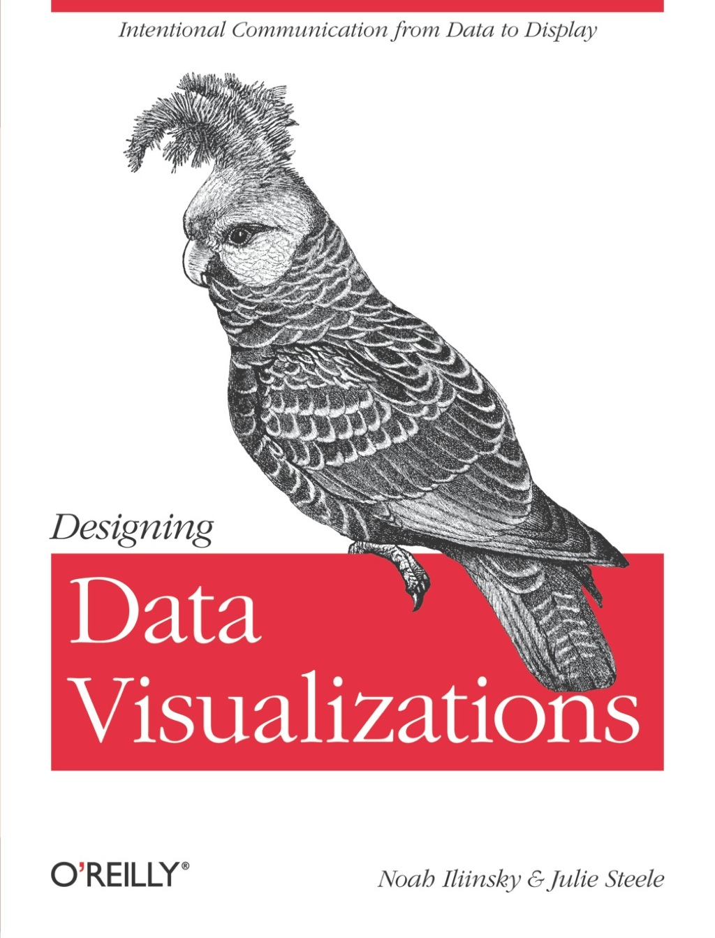 Designing Data Visualizations 1st Edition - (PDF/EPUB Version)