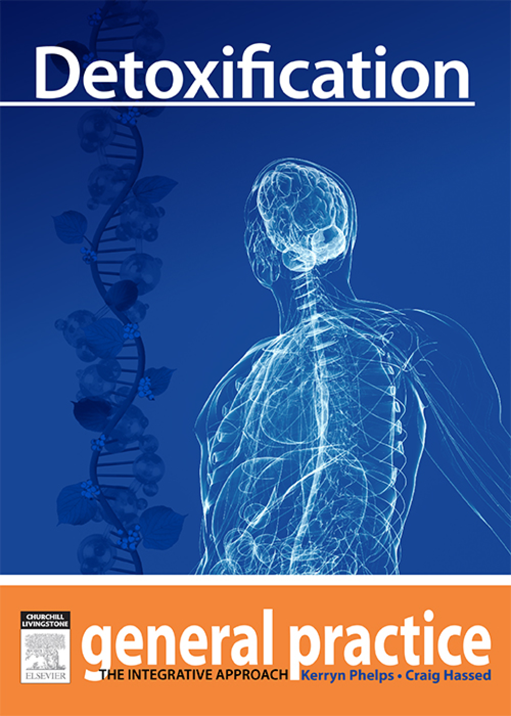Detoxification General Practice: The Integrative Approach Series - (PDF/EPUB Version)