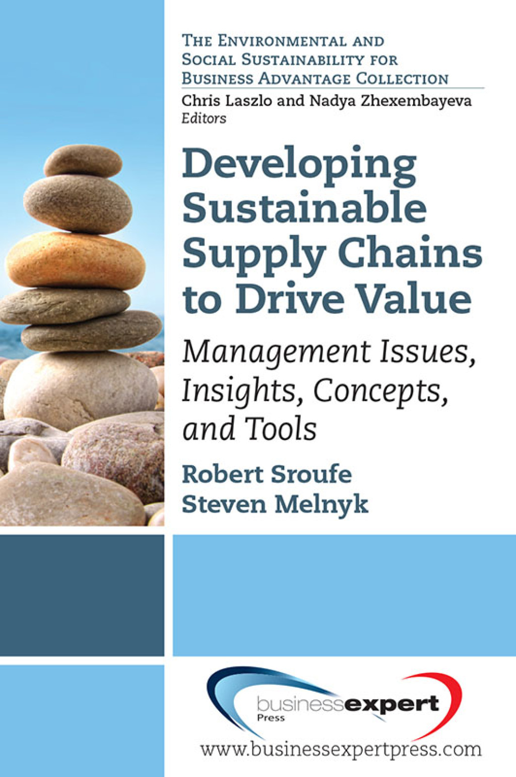 Developing Sustainable Supply Chains to Drive Value Management Issues, Insights, Concepts, and Tools - (PDF/EPUB Version)