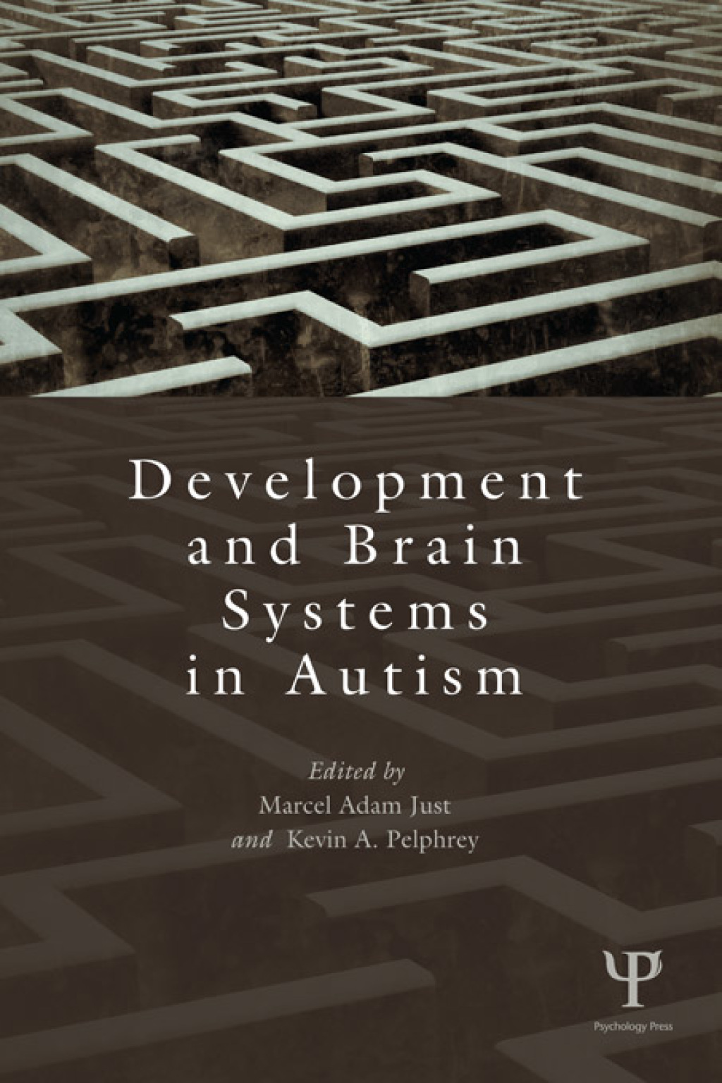 Development and Brain Systems in Autism 1st Edition â€“ PDF/EPUB ...