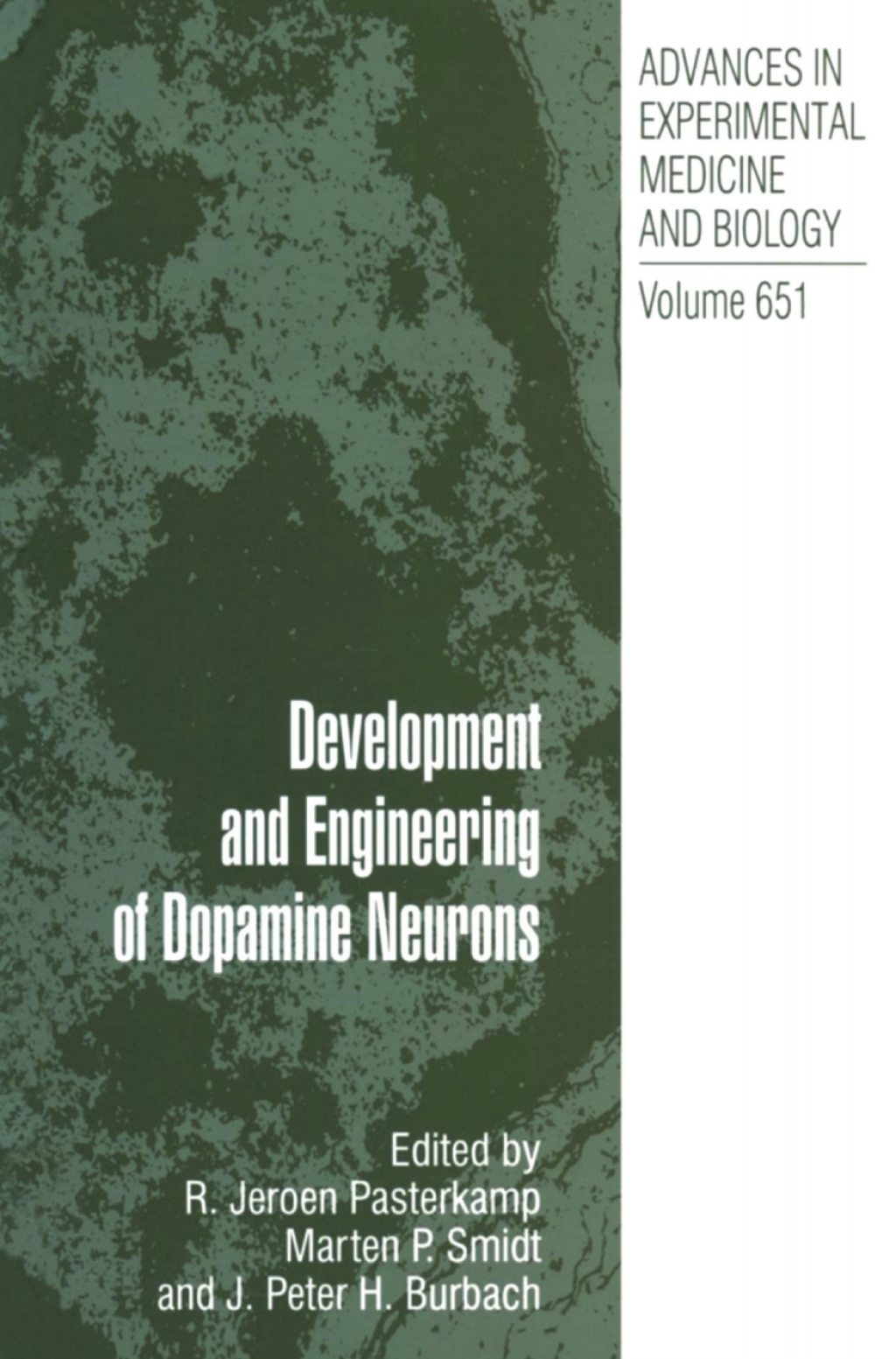 Development and Engineering of Dopamine Neurons 1st Edition â€“ PDF/EPUB Version Downloadable