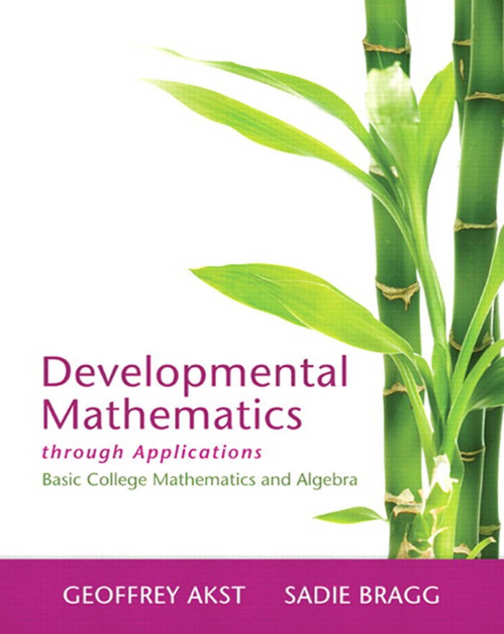 Pdf Math Collage Developmental Mathematics through Applications Basic College ...