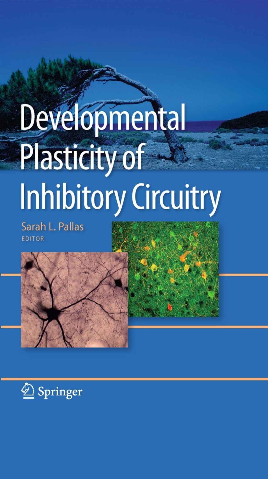 Developmental Plasticity of Inhibitory Circuitry 1st Edition â€“ PDF/EPUB Version Downloadable