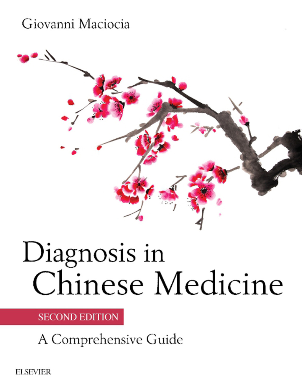 Diagnosis in Chinese Medicine A Comprehensive Guide 2nd Edition â€“ PDF ...