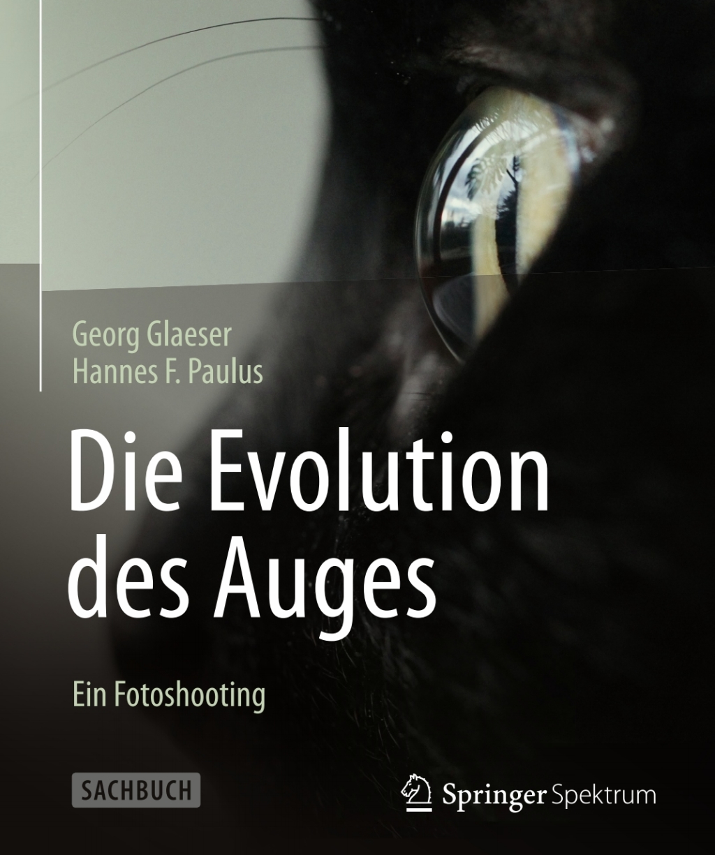 Die Evolution des Auges - Ein Fotoshooting - (PDF/EPUB Version)