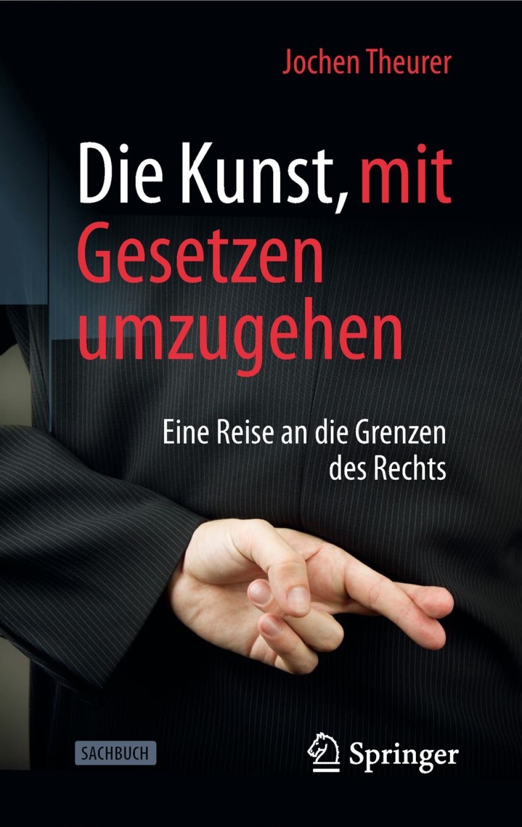 Die Kunst, mit Gesetzen umzugehen Eine Reise an die Grenzen des Rechts - (PDF/EPUB Version)