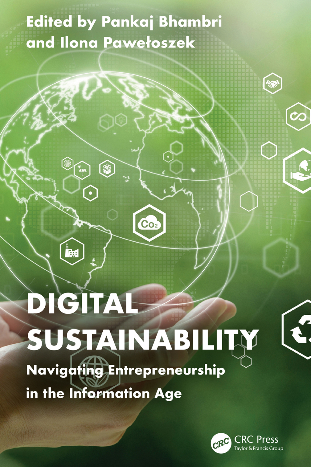 Digital Sustainability Navigating Entrepreneurship in the Information ...