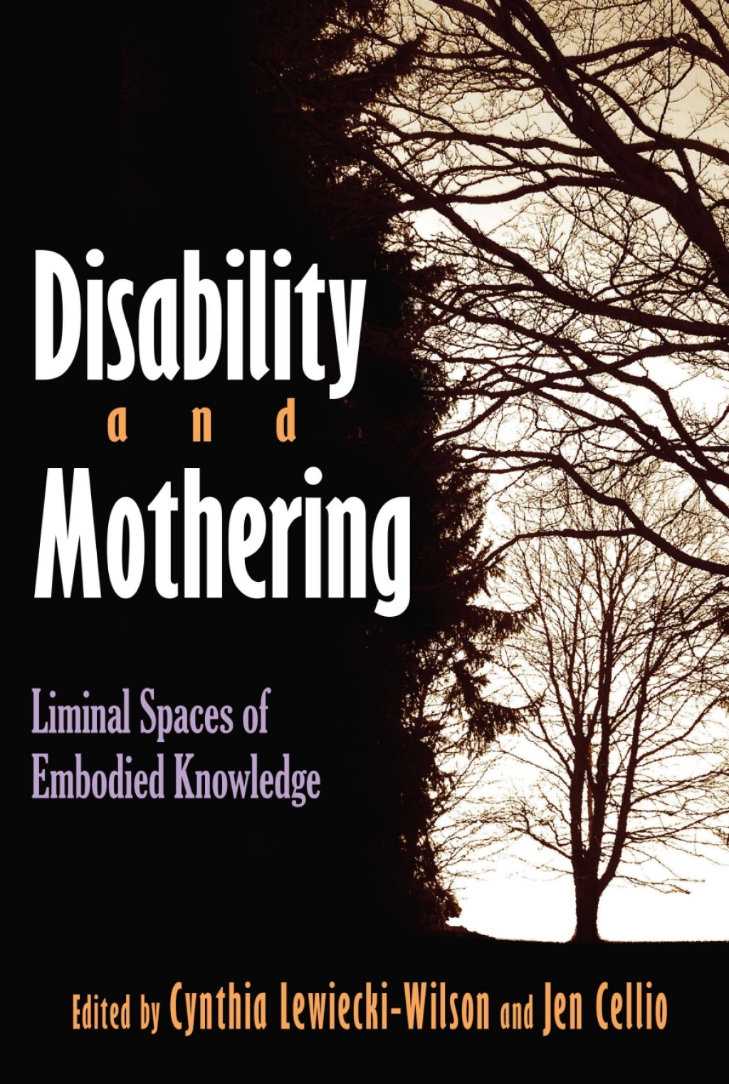 Disability and Mothering Liminal Spaces of Embodied Knowledge â€“ PDF ...