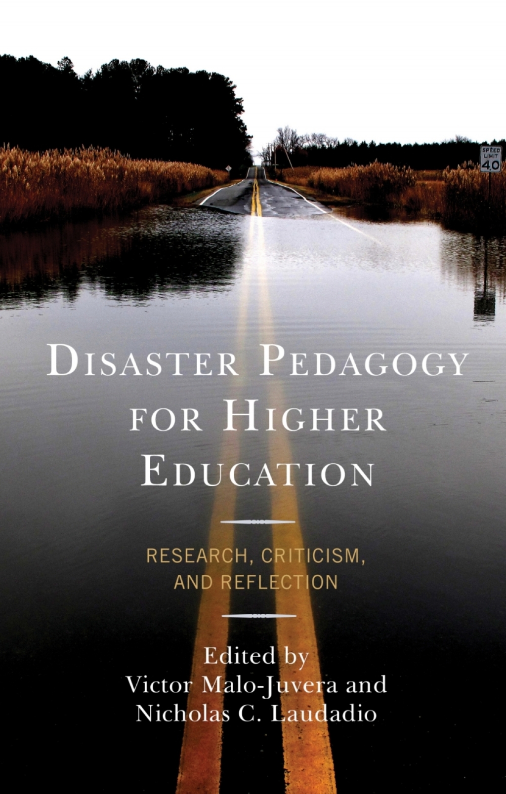 Disaster Pedagogy for Higher Education Research, Criticism, and Reflection - (PDF/EPUB Version)