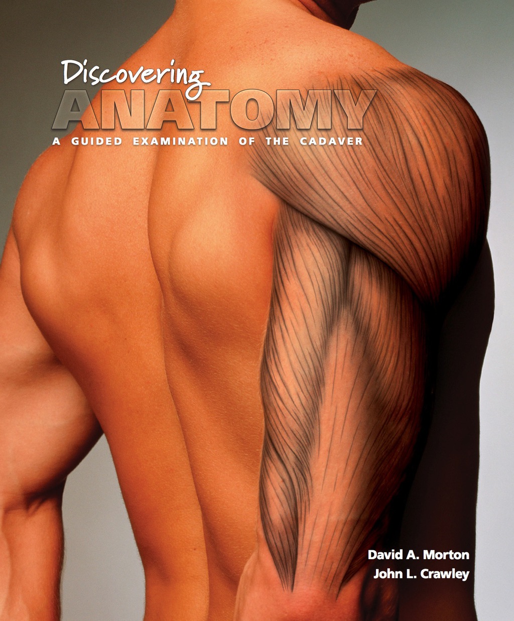 Discovering Anatomy: A Guided Examination of the Cadaver 1st Edition - (PDF/EPUB Version)