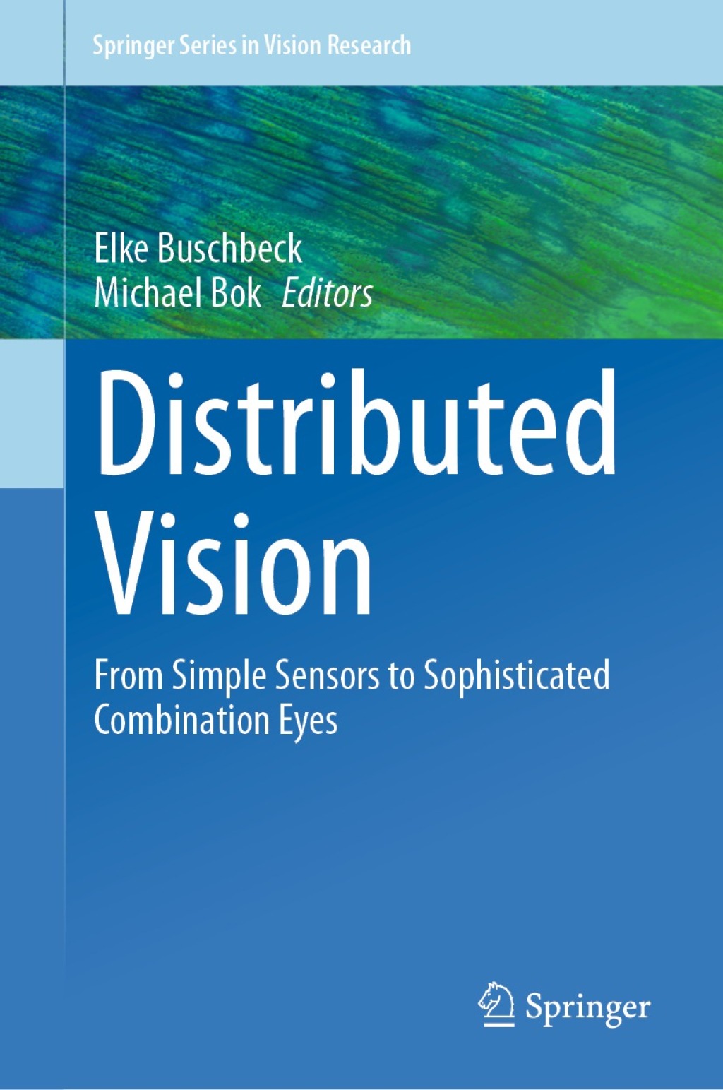 System Combination Vision Distributed Vision From Simple Sensors to Sophisticated Combination ...