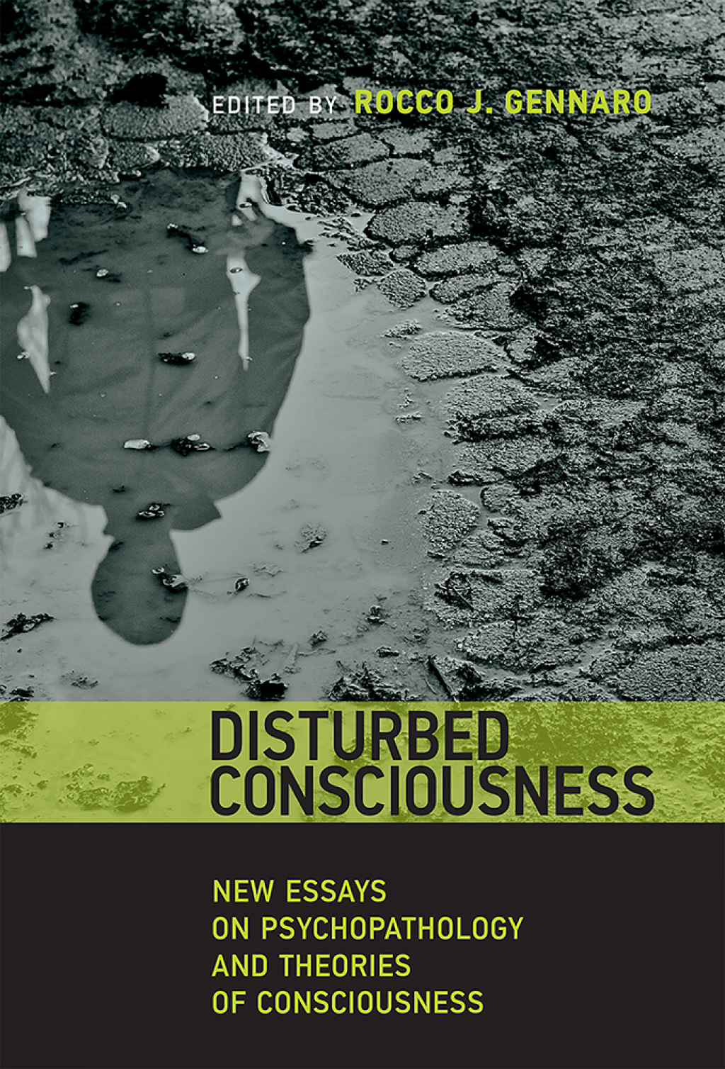 Disturbed Consciousness New Essays on Psychopathology and Theories of Consciousness - (PDF/EPUB Version)