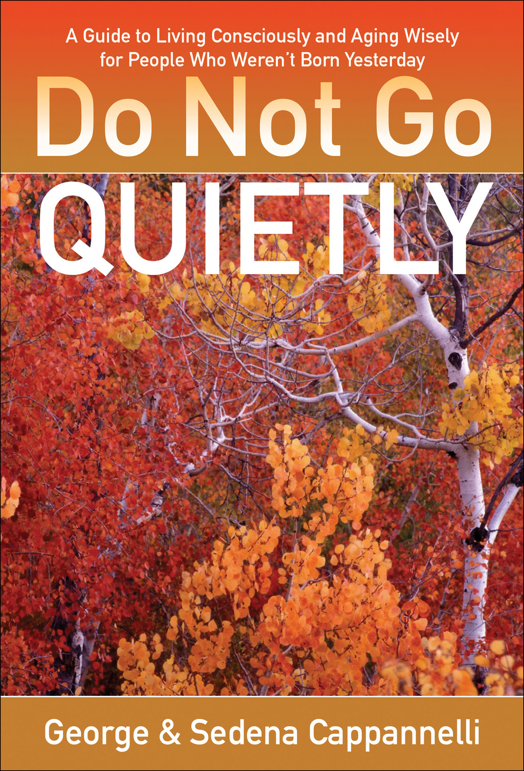 Do Not Go Quietly: A Guide to Living Consciously and Aging Wisely for People Who Weren't Born Yesterday A Guide to Living Consciously and Aging Wisely for People Who Weren't Born Yesterday - (PDF/EPUB Version)