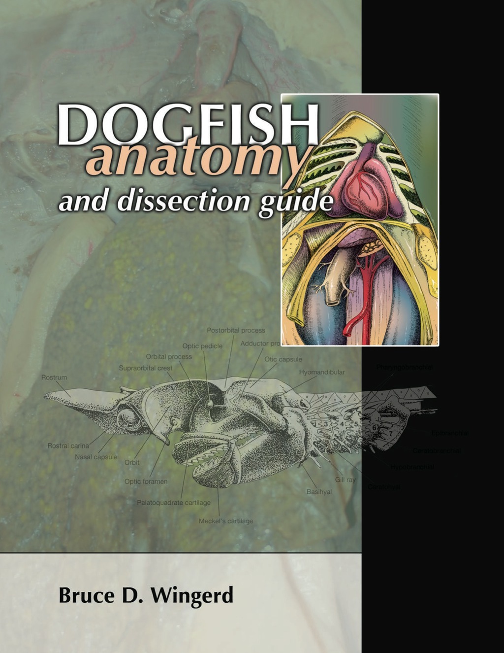 Dogfish Anatomy and Dissection Guide 1st Edition - (PDF/EPUB Version)